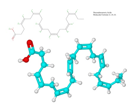 omega 3 stoffwechsel
